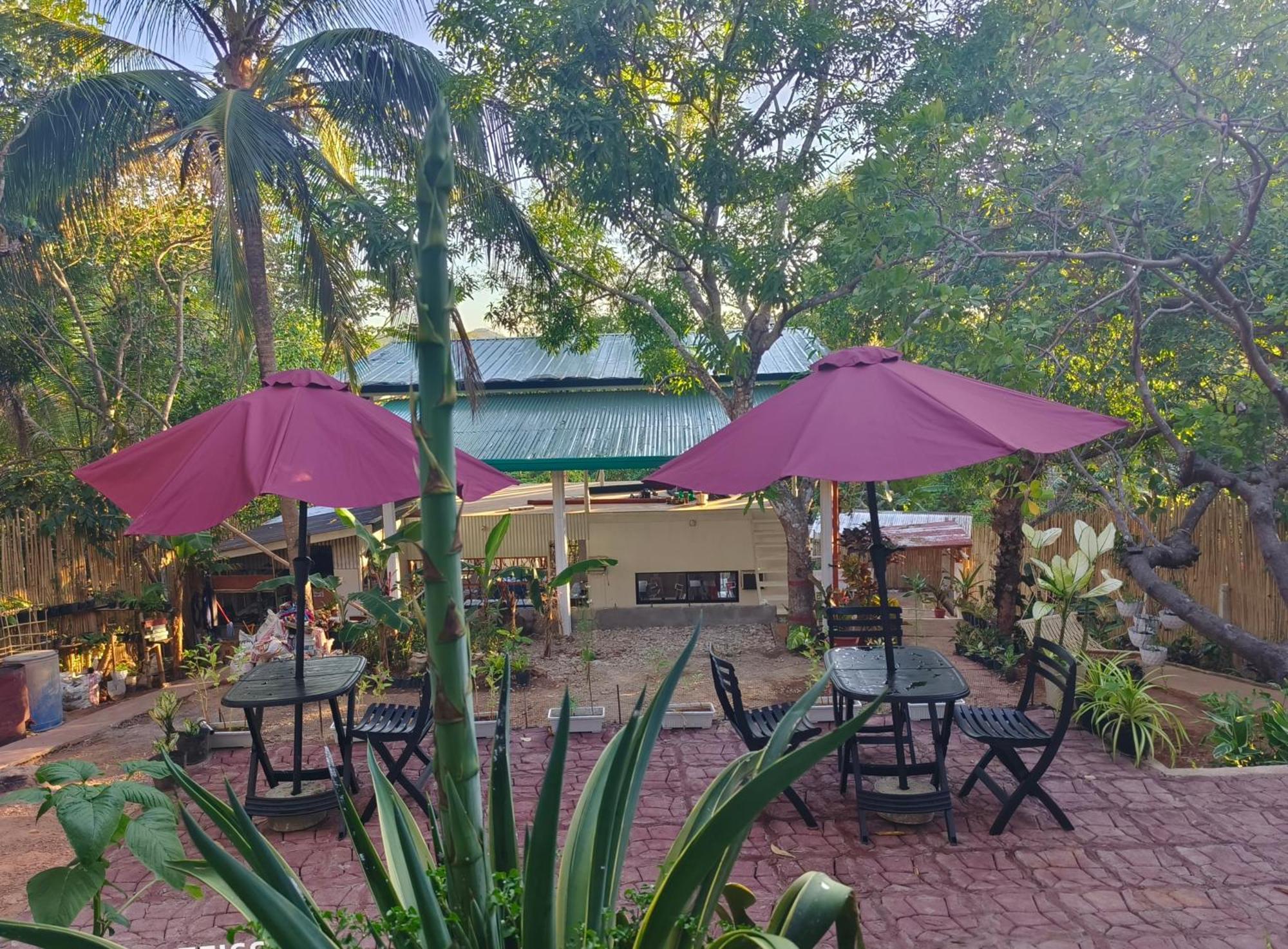 Ani Marie Guest House Coron Exterior photo