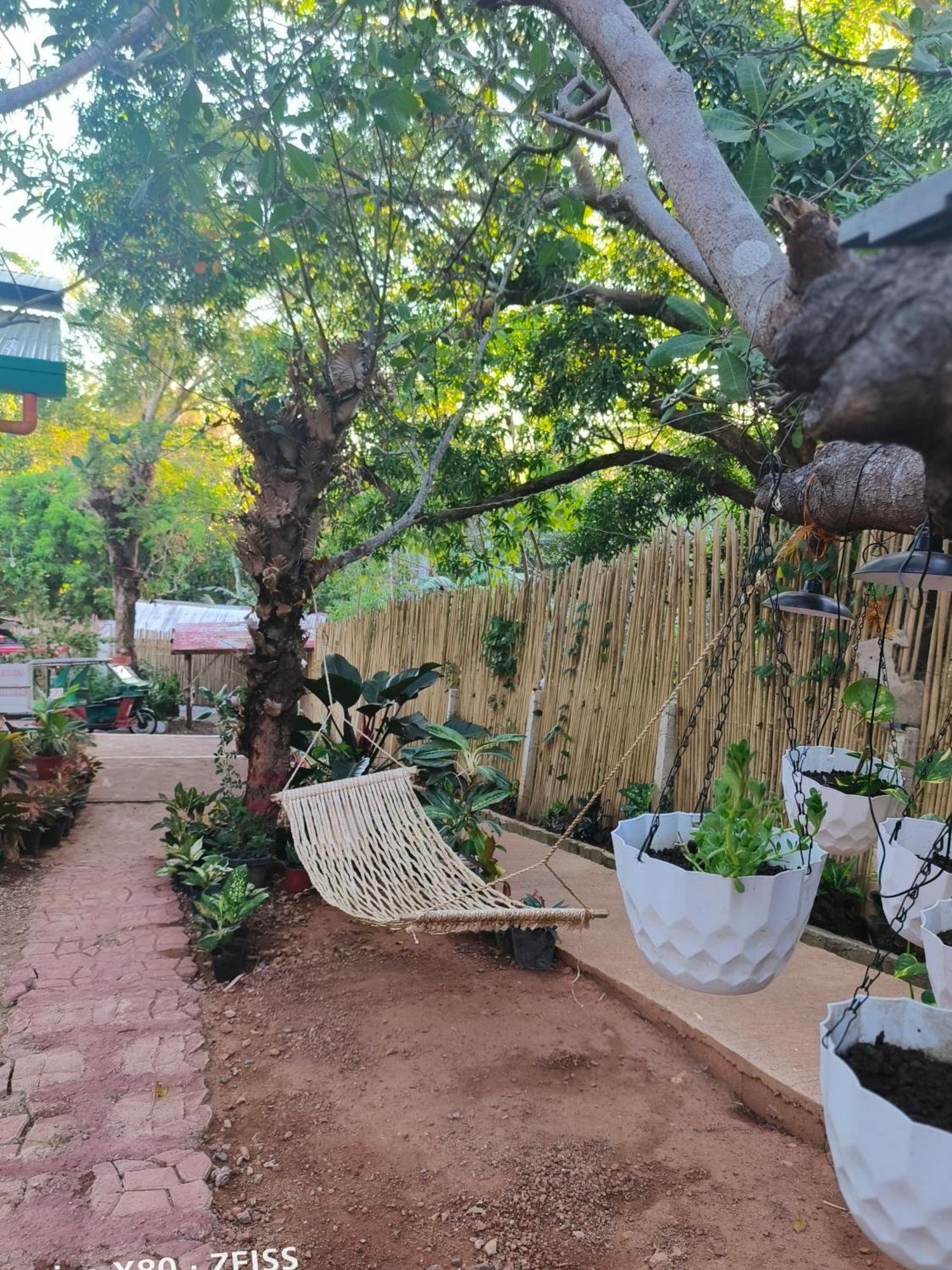 Ani Marie Guest House Coron Exterior photo